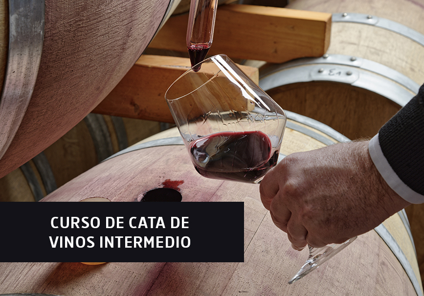 Curso de cata de vinos intermedio Curso de cata de vinos intermedio