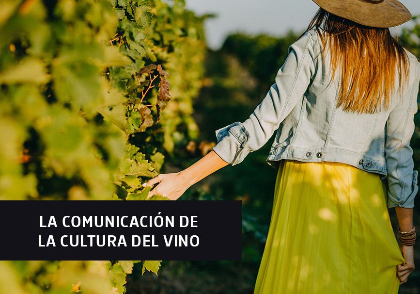 Curso de cultura del vino Curso de cultura del vino