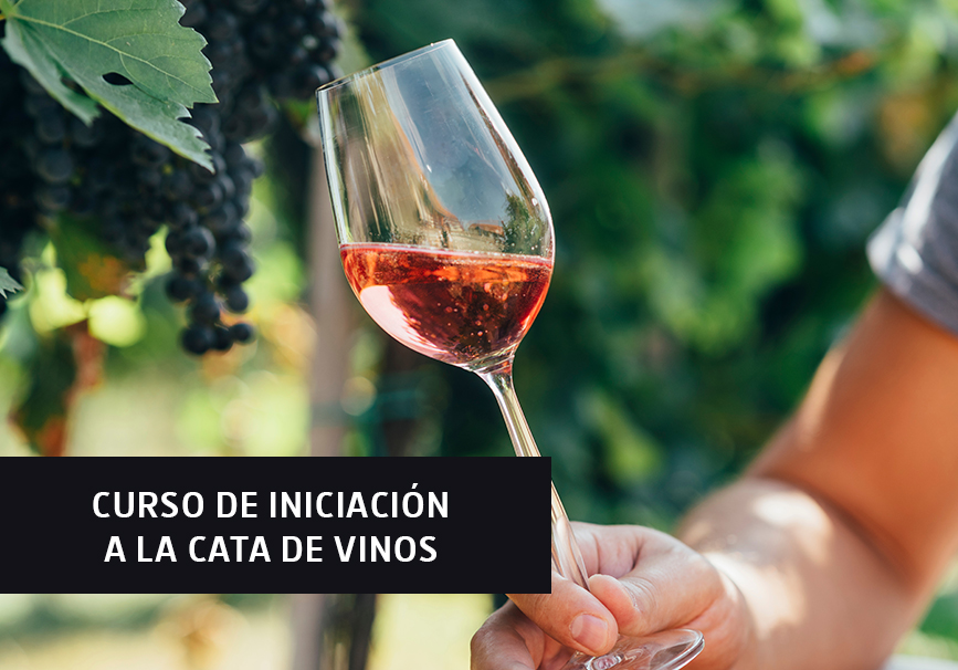 Curso de iniciación a la cata vinos Curso de iniciación a la cata vinos