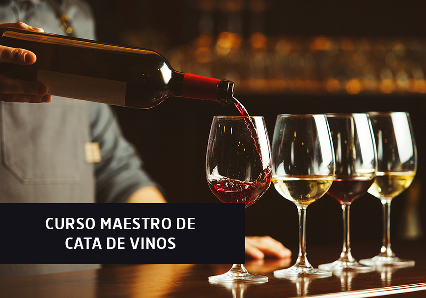 Curso maestro de cata de vinos Curso maestro de cata de vinos