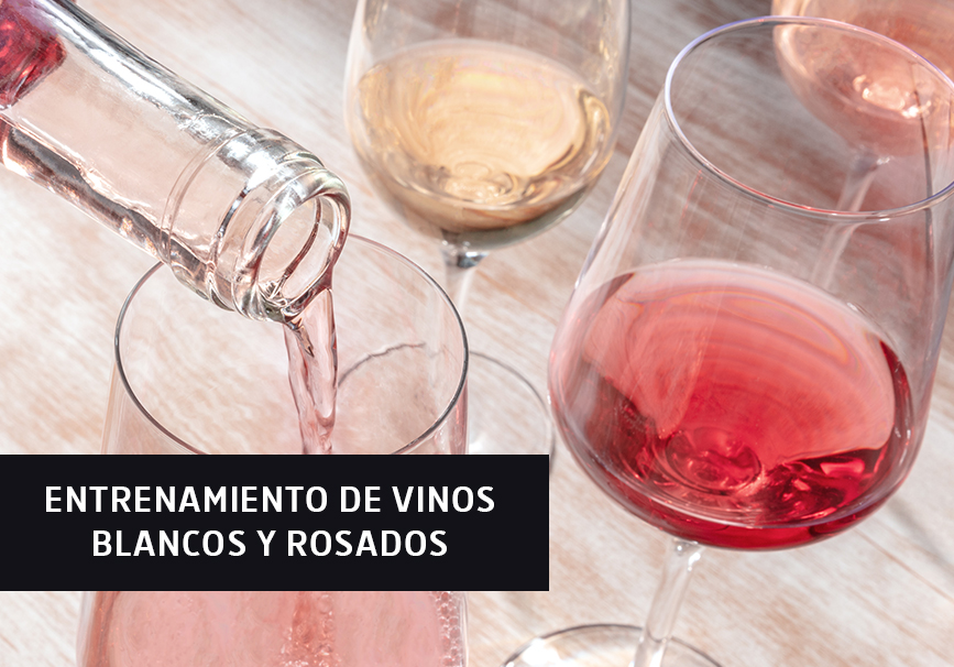 Entrenamiento de vinos blancos y rosados Entrenamiento de vinos blancos y rosados