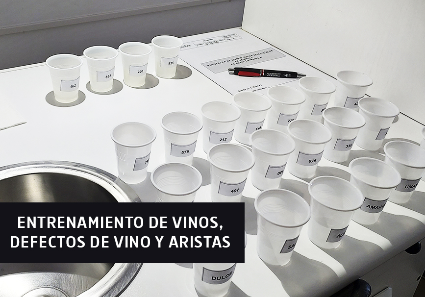 Entrenamiento de vinos, defectos de vino y aristas Entrenamiento de vinos, defectos de vino y aristas