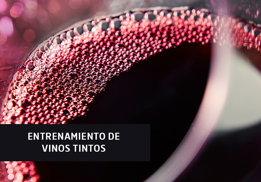 Entrenamiento de vinos tintos Entrenamiento de vinos tintos