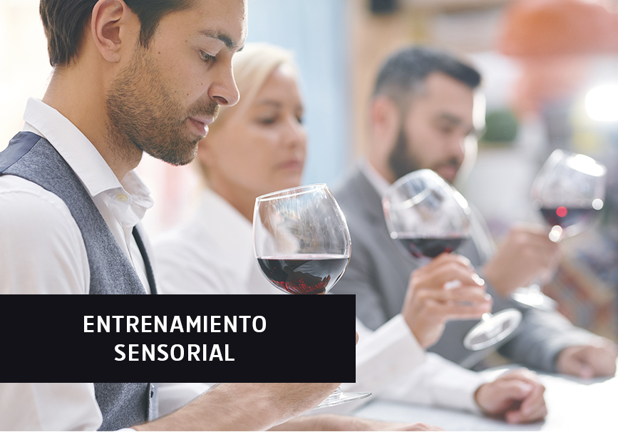 Entrenamiento sensorial Entrenamiento sensorial