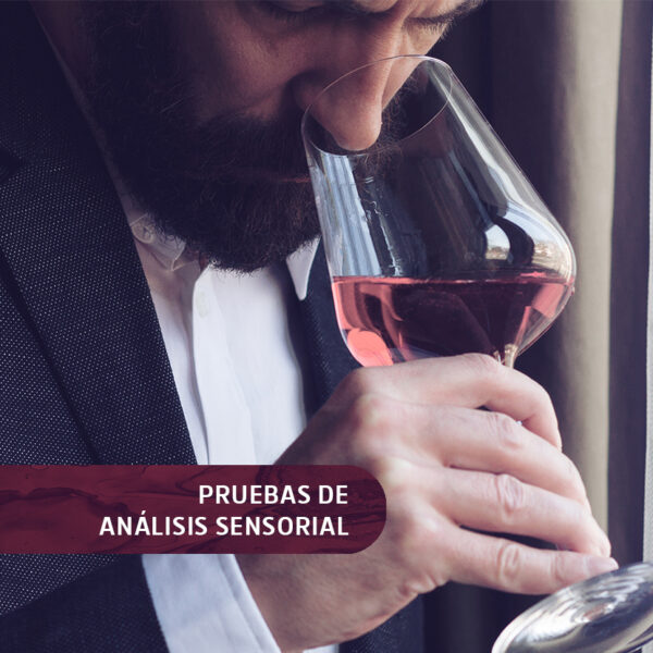 1 Pruebas Análisis Sensorial 1 Pruebas Análisis Sensorial