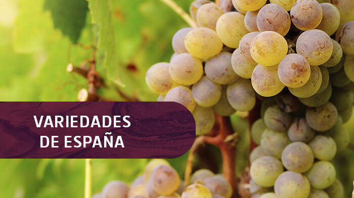 1 Variedadesd de España 1 Variedadesd de España