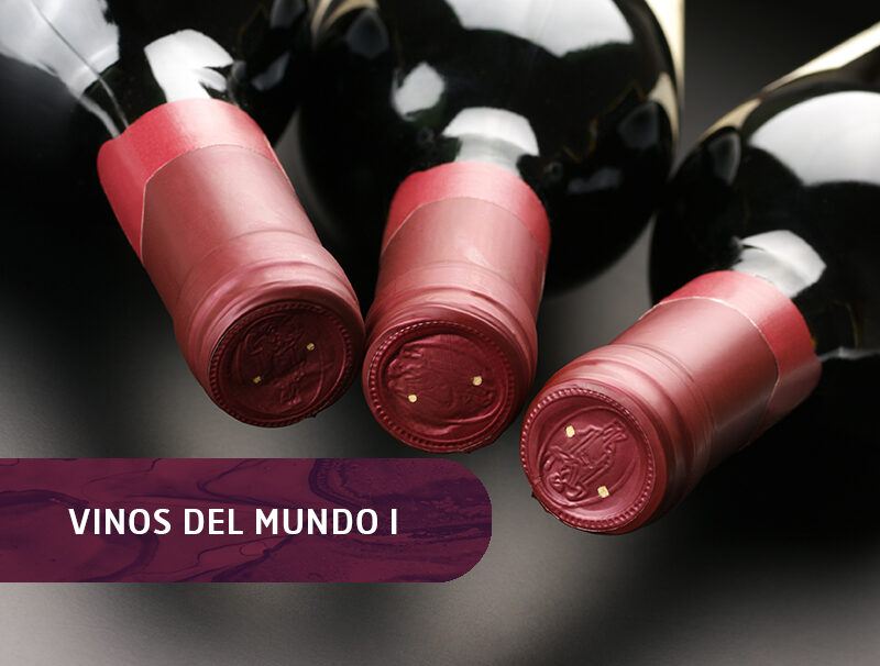 1 Vinos del Mundo I 1 Vinos del Mundo I