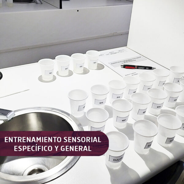 2 Entrenamiento Sensorial Especifico y General 2 Entrenamiento Sensorial Especifico y General