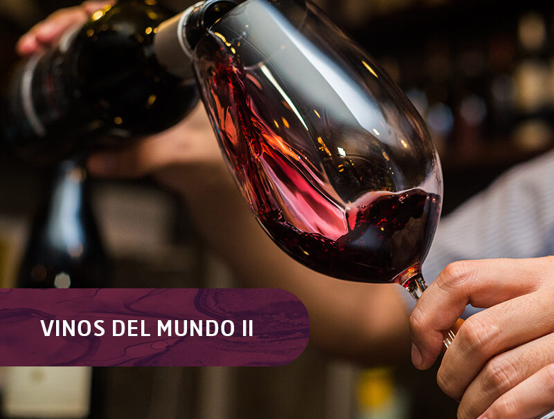 2 Vinos del Mundo II 2 Vinos del Mundo II