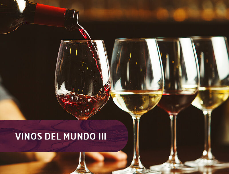 3 Vinos del Mundo III 3 Vinos del Mundo III